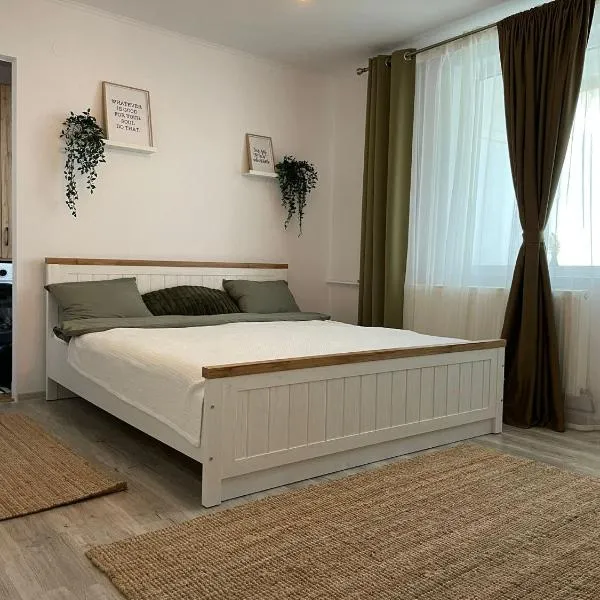 Carol Apartament's, viešbutis mieste Timišoara