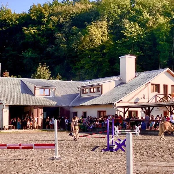 VLADIMÍR, rekreační středisko, hotel ve Šternberku