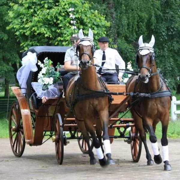 Noclegi Przy Stadninie, hotel in Bubel