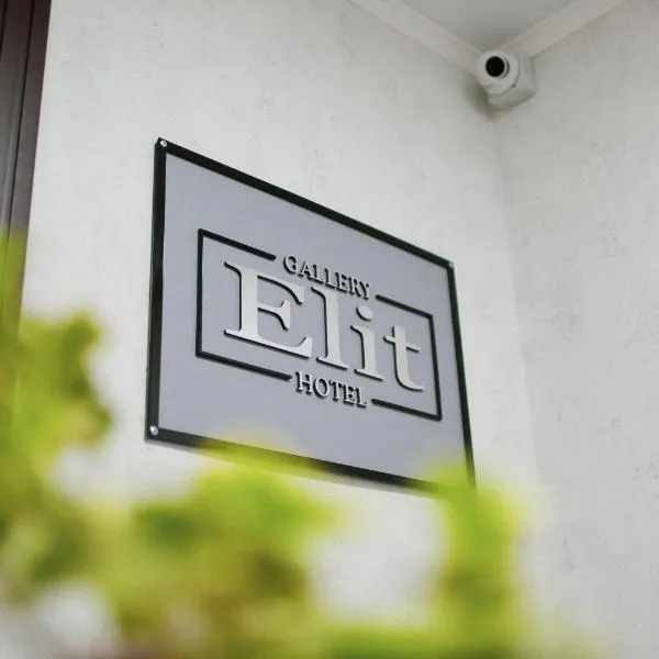 Gallery Elit Hotel, hotel in Dunaivtsi