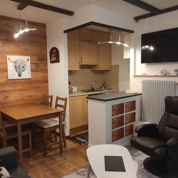 Petit paradis cocooning avec balcon à Torgon, hotel a Vionnaz