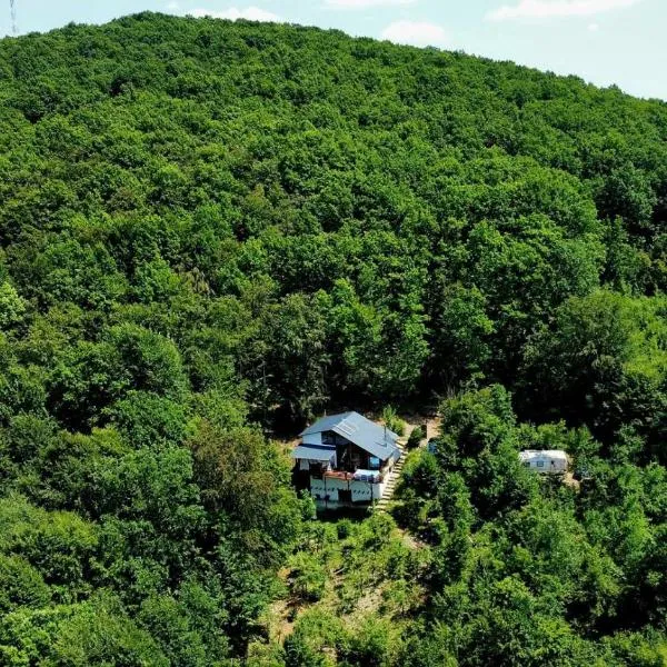 Beauty Wood House in The Forest, hotelli kohteessa Vîlcăneşti