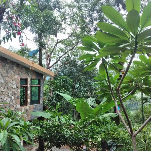 Casa Musgo, ξενοδοχείο σε Xilitla