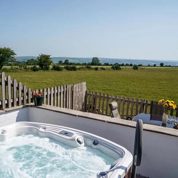 Bwthyn y Ddol - a cottage with stunning views, hotel in Cardigan