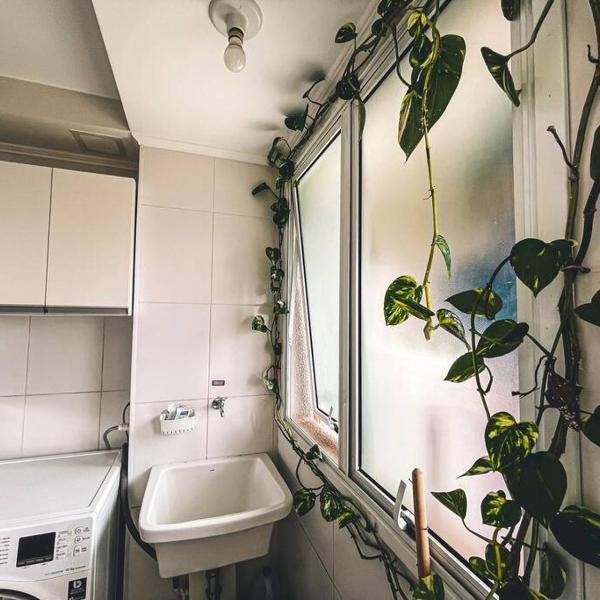 Apartamento super agradável! Perto de tudo em Águas Claras - Foto 3