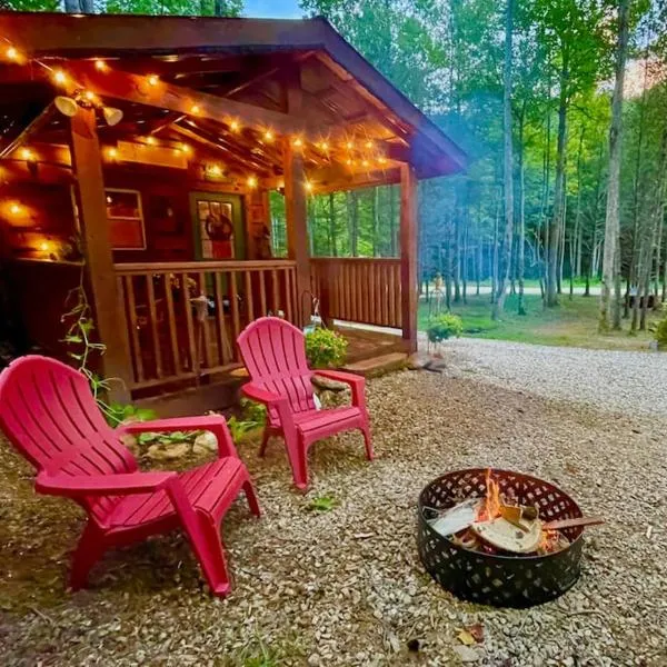 Little Bear Tiny Cabin, hotel v destinaci Cosby