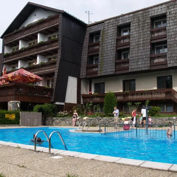 Hotel Pavla Vysočina, hotel in Cikháj