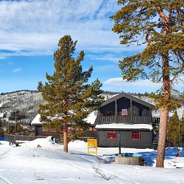 Active Adventure Base - Apartment & Lavvo, Dagali Fjellpark, hotel v destinaci Dagali