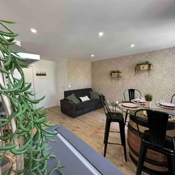 Appartement Vignes 2 personnes, hotel a Vienne