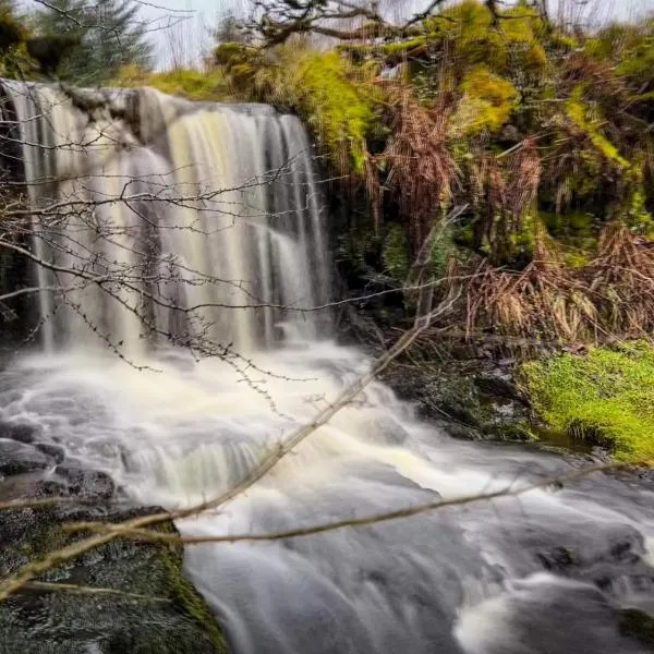 Glenariff Forest Getaway, hotell i Glenariff