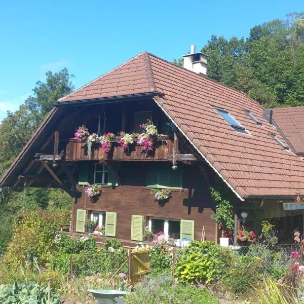 Bright, sunny holiday apartment on the farm, hotel en Grosshochstetten