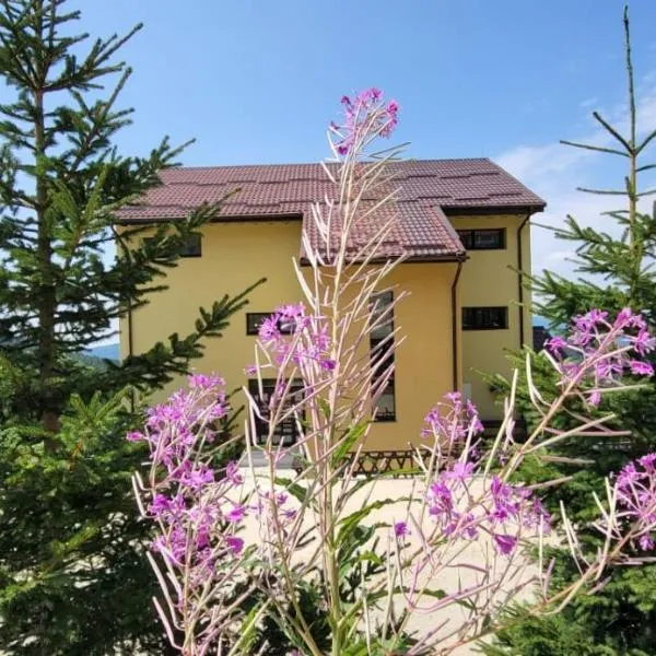 Pension Valea Mariei, hotel u gradu 'Ranca'