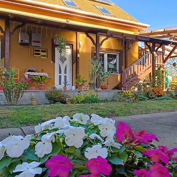 Holt-Tisza Vendégház, Hotel in Röszke