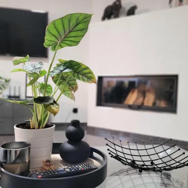 Luxury Appartement Marz, Europa Park- Rulantica, hotel in Mahlberg