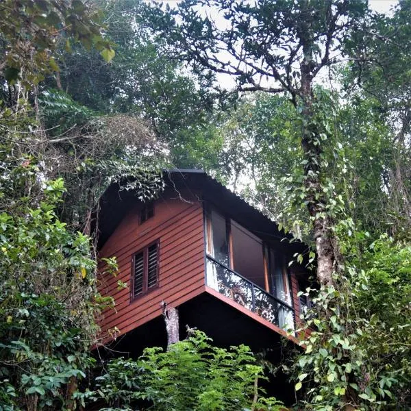 TREE6 WAYANAD, hotel in Vythiri