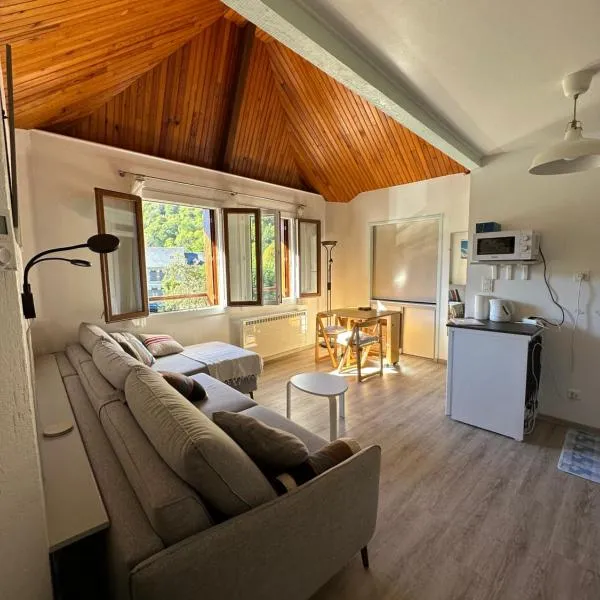 Appartement Bordères-Louron 1 à 3 personnes 3 étoiles, proche Loudenvielle, hotel in Bordères-Louron