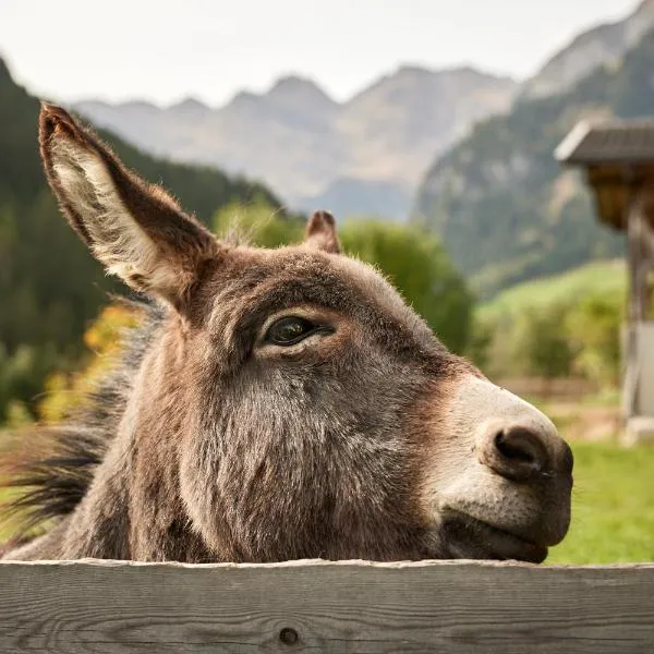 Mareiter Stein Blasighof, hotel v destinaci Racines