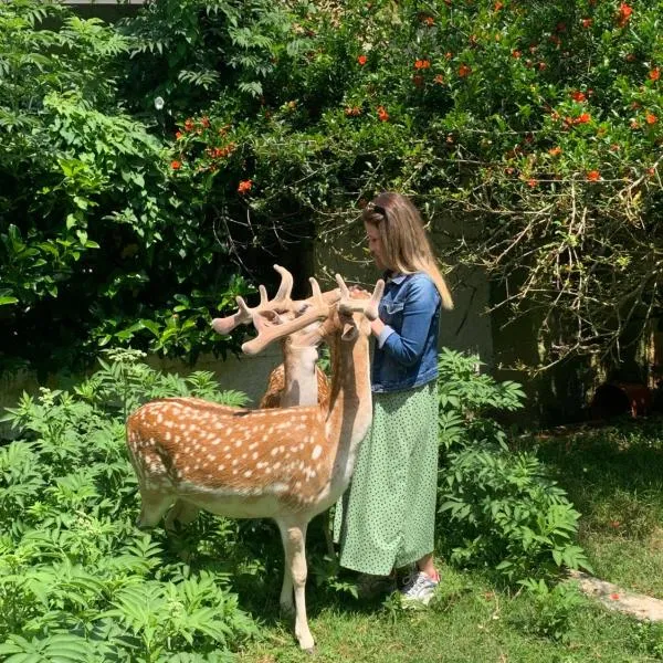 Polonezköy Country Club & Accommodation in the Wildlife Park!, hotel en Polonezköy