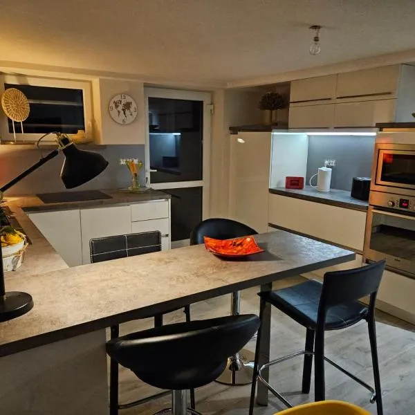 Appartement 3 étoiles 1 à 6 personnes dans maison individuelle, hotel v destinaci Haguenau
