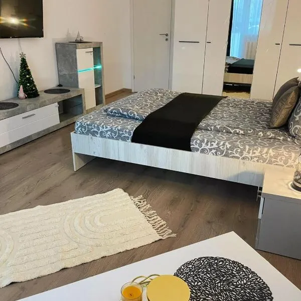 VivamusApartmentsBV，布拉索夫的飯店