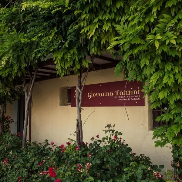 Agriturismo I Mischi, hotel in Castelnuovo del Garda