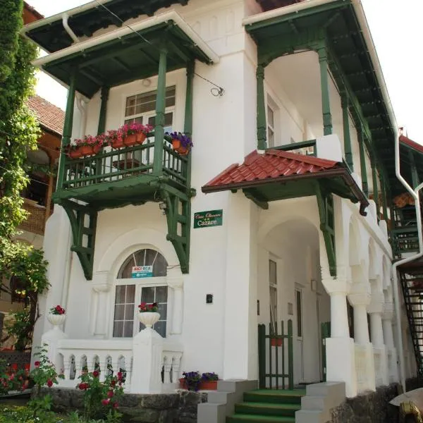 Casa Olanescu, hotel v mestu Băile Olăneşti