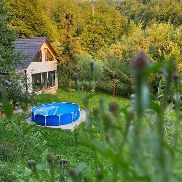 Sonna, hotell sihtkohas Zolotny
