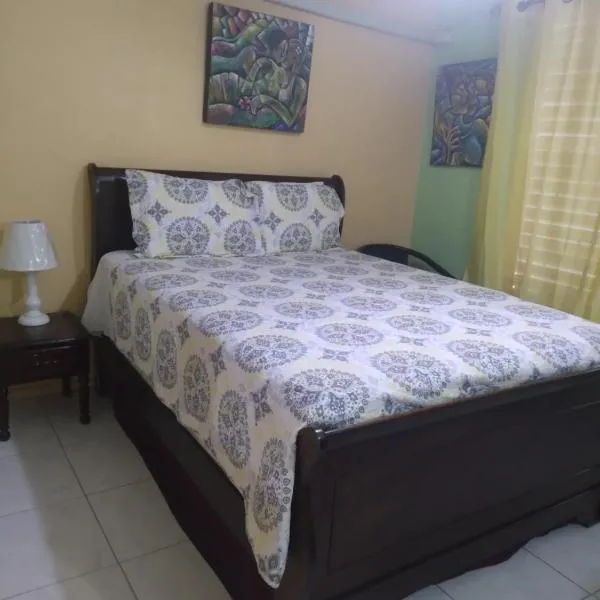 Elegant & Stylish 2BR New Kingston, hotel in Kingston