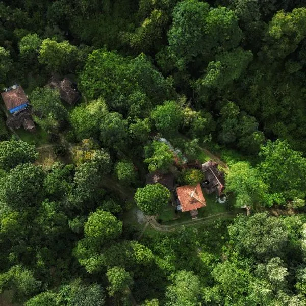 Mahout Resort Wayanad - An Experiential Jungle Stay with Waterfall, hotel v destinaci Kalpatta