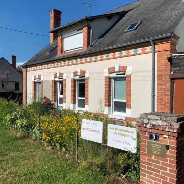 Les Garçonnières de Sologne, hotel in Salbris