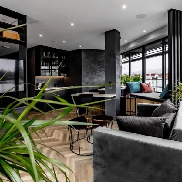 Moon Apartment, hotel in Bielsko-Biala