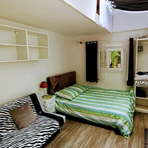 Petit studio pour 4 personnes avec coin jardin, hotel em Le Blanc-Mesnil