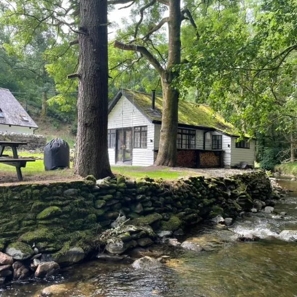 Cuckoo Cabin, Tyn Y Cwm, hotell i Penegoes