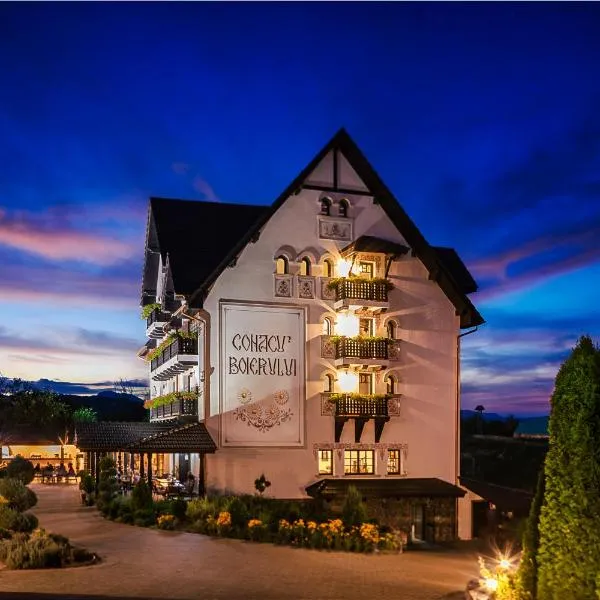 Conacu´ Boierului, hotel in Comăneşti