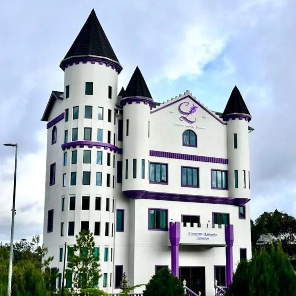 Cameron Lavender Mansion by PLAY，伯恩倉的飯店