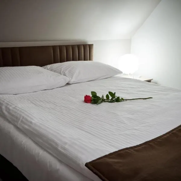 BIESZCZADZKI RAJ Komfortowe domy z kominkami i Sauną na obiekcie, hotel en Olchowiec