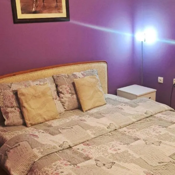 Apartman Žile, hotel in Bačko Novo Selo