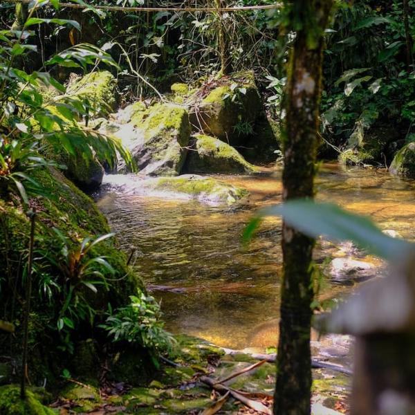 Casa em penedo com cachoeira - Foto 5
