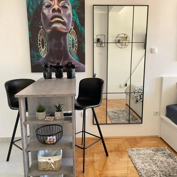 Downtown Apartment 2, hotell sihtkohas Novi Sad