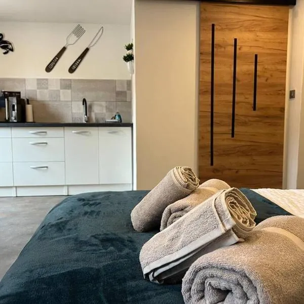 Studio Le petit pélican, hotel v destinaci Châtenois