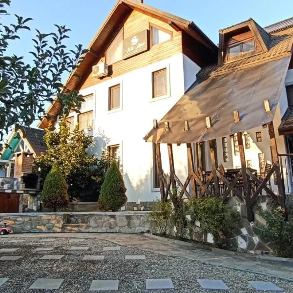 Vila Slanic, hotel in Slănic