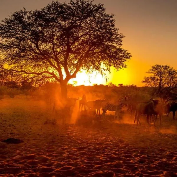 Bagatelle Kalahari Boutique Farmhouse Lodge, hotel in Mariental