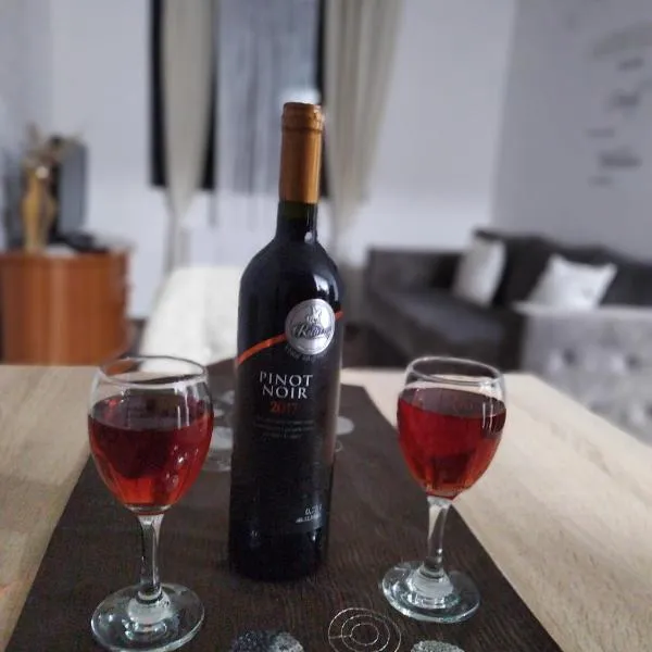 APARTMAN ANDREA, hotel v destinaci Leskovac