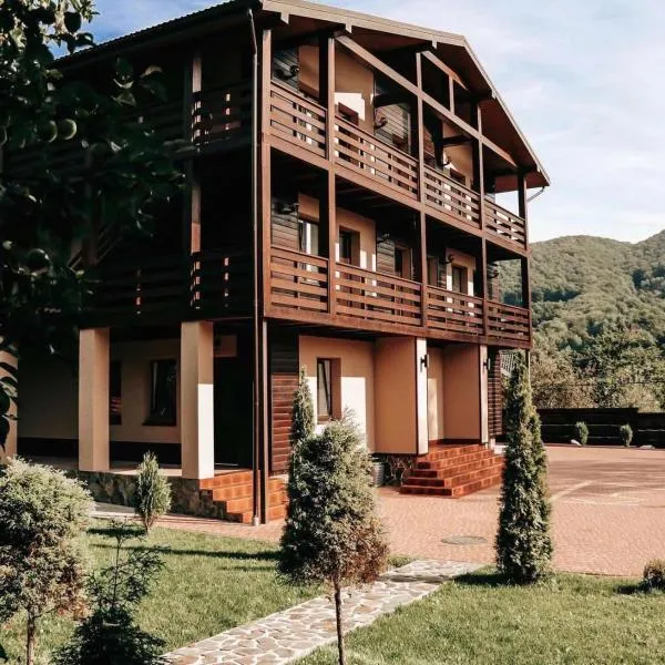 Садиба Казка, hotel in Vizhenka