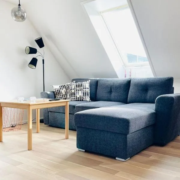 Scandinavian Apartment Hotel - Sønderbro - Central 2 room apartment, hotel v destinaci Horsens