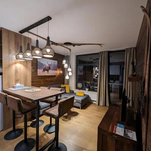 Zadov - Apartmán Srdce Šumavy, hotel ve Stachách