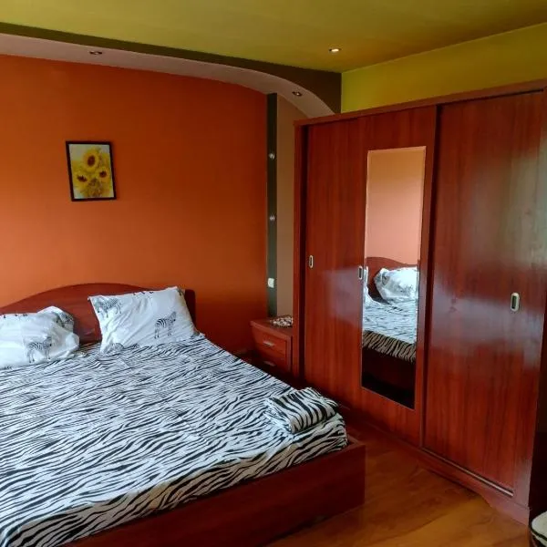 Casă de relaxare, hotel in Brad