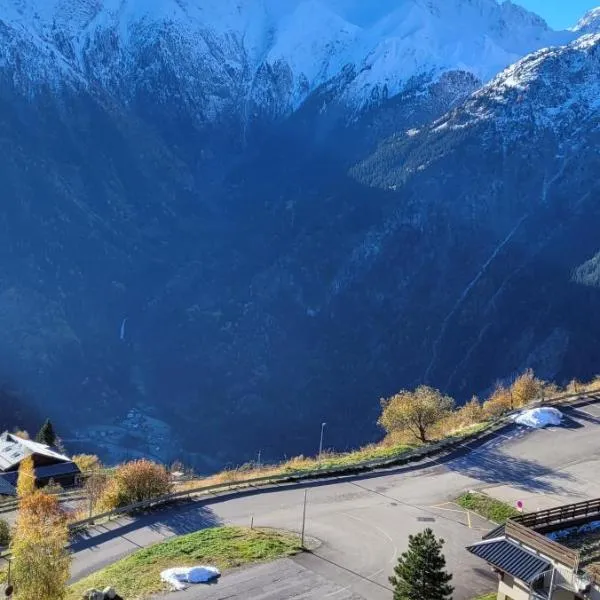 Appartement les 2 Alpes avec vue sur la muzelle, hotel in Vénosc