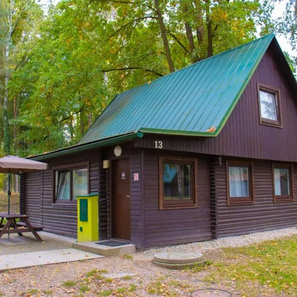 Holiday Home Kemp Stříbrný rybník-13 by Interhome, hotel in Hradec Králové