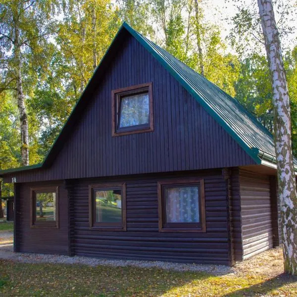 Holiday Home Kemp Stříbrný rybník-14 by Interhome, hotel in Hradec Králové